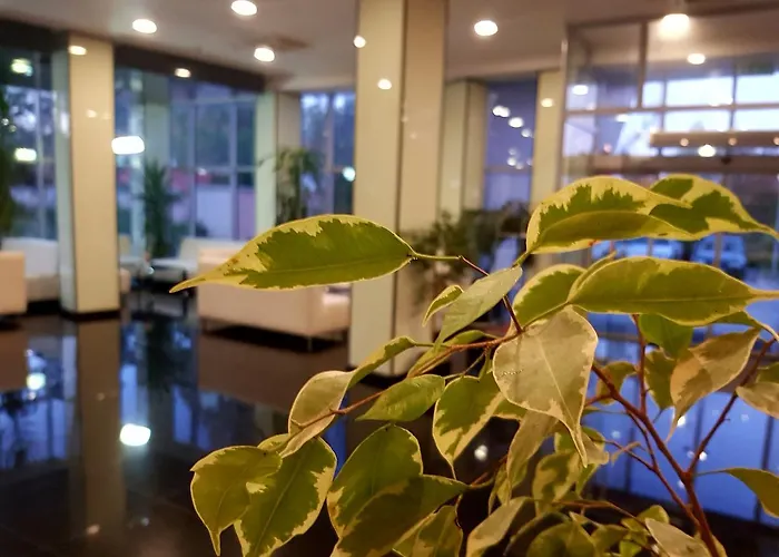 Ata Hotel Varshets (Montana)